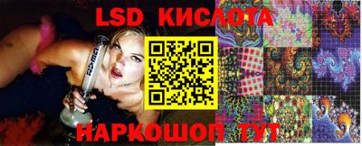 крисы Славгород