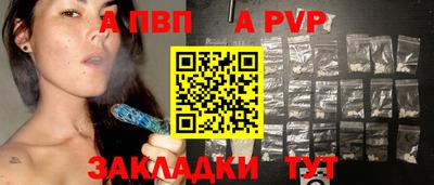 крисы Славгород