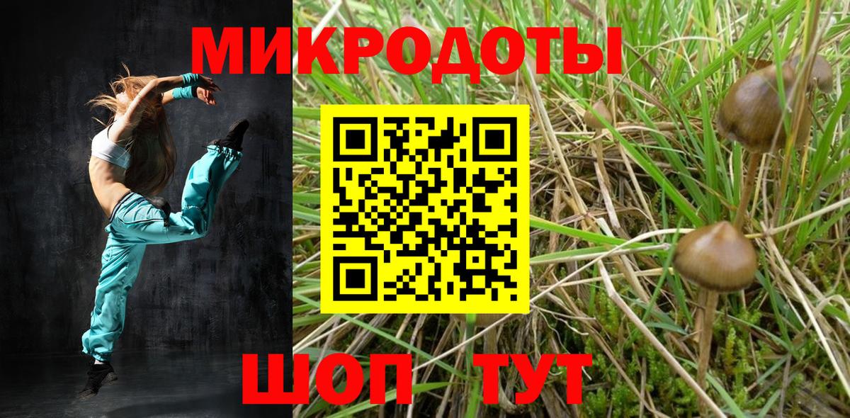 Мценск  Псилоцибиновые грибы мицелий  Вход с VPN 